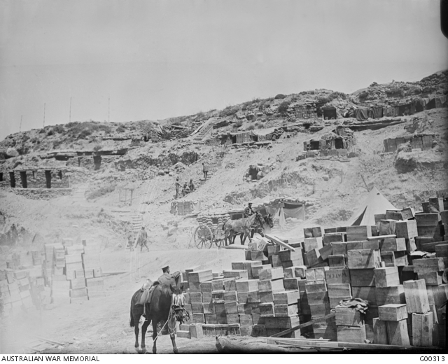 V Beach Cemetery, 2025