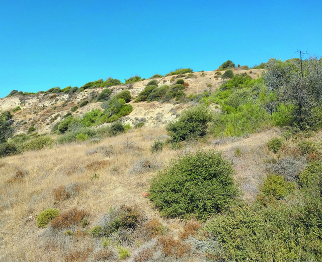 V Beach Cemetery, 1915