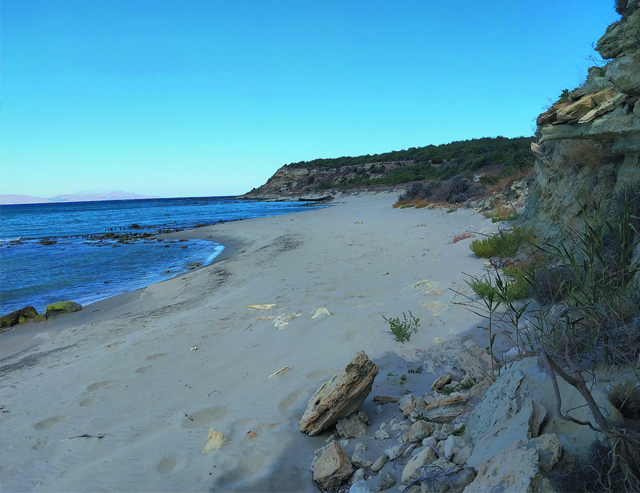 V Beach Cemetery, 2025