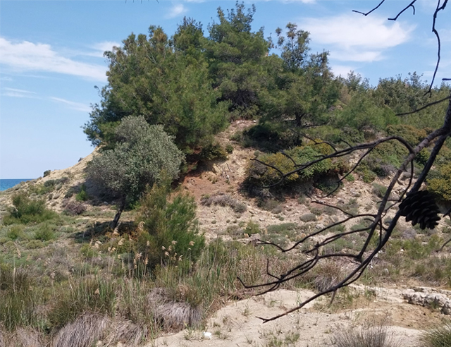 Zığındere girişi, 2025