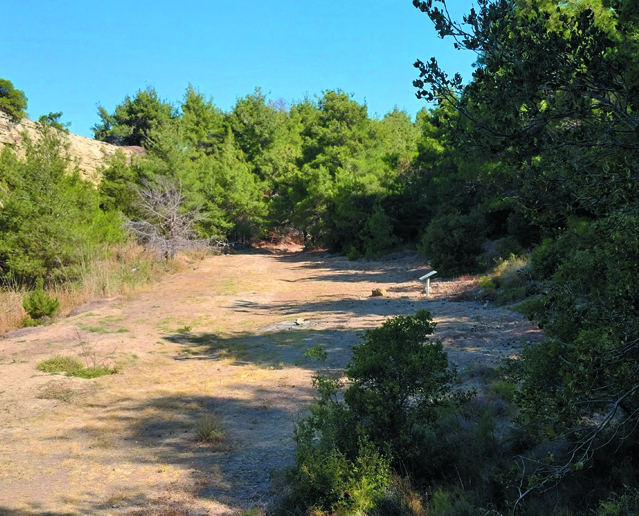 Zığındere'den içeri, 2025